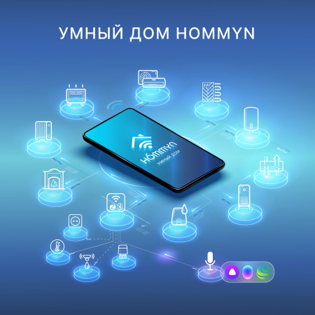 Датчик температуры и влажности HOMMYN HTSZ-01