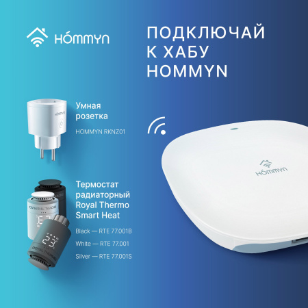 Блок управления (шлюз) Hommyn Hub HH-01