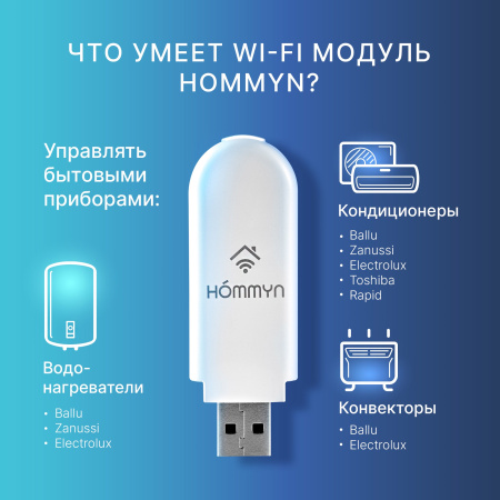 Модуль съемный управляющий HOMMYN HDN/WFN-02-01