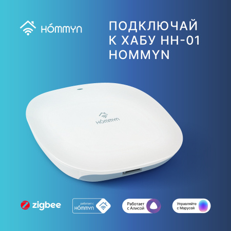 Модуль реле HOMMYN zigbee 2 канала (с нейтралью) RLZBN02